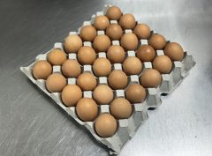 Pantry – eggs (tray)